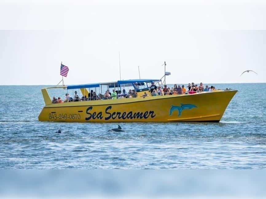 Myrtle Beach: Dolphin Cruise on the Sea Screamer - The Thrill Shift: Racing Toward the Atlantic Ocean