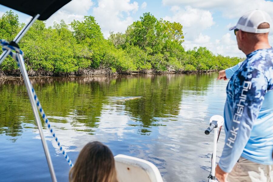Naples, FL: Manatee, Dolphin, 10,000 Islands Beach Eco Tour - Price and Value: What You’re Really Paying For