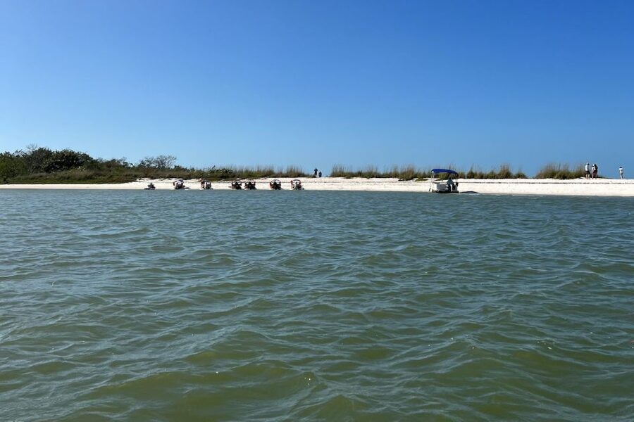 Naples, FL: Manatee, Dolphin, 10,000 Islands Beach Eco Tour - Birds Overhead: The Easy Win Most People Forget