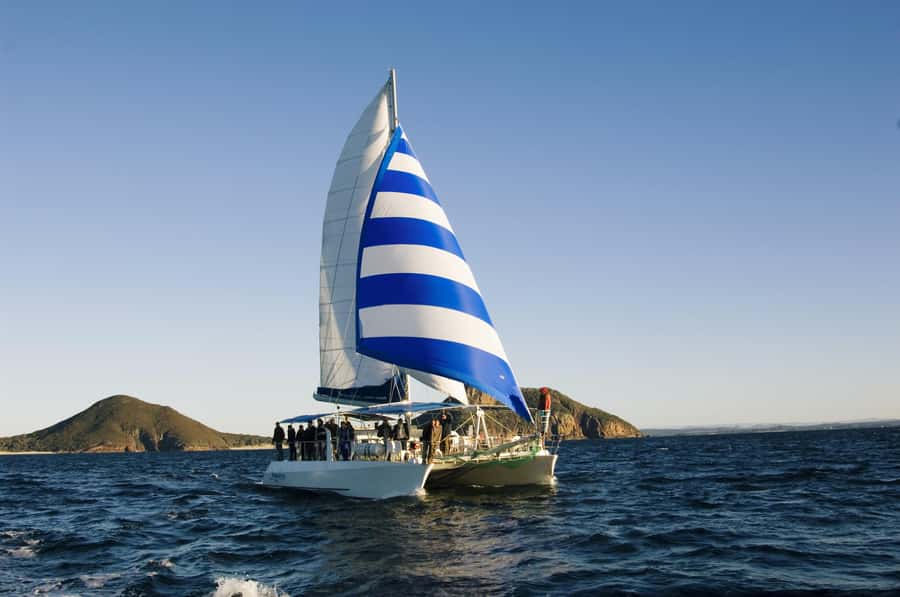 Nelson Bay: Dolphin Watch Cruise and Sail - Nelson Bay’s bottlenose dolphin season makes this a solid plan