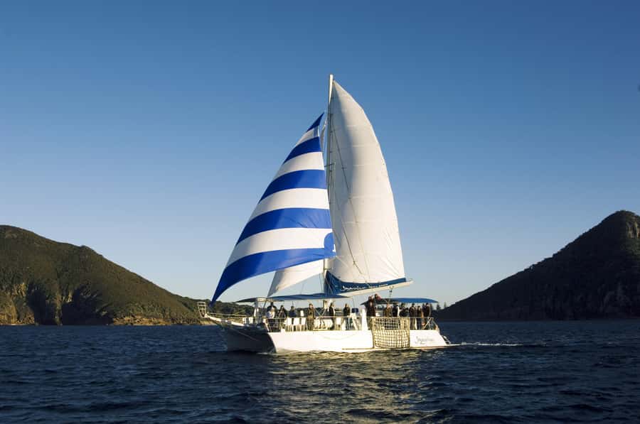 Nelson Bay: Dolphin Watch Cruise and Sail - Practical packing list and on-the-day tips that matter