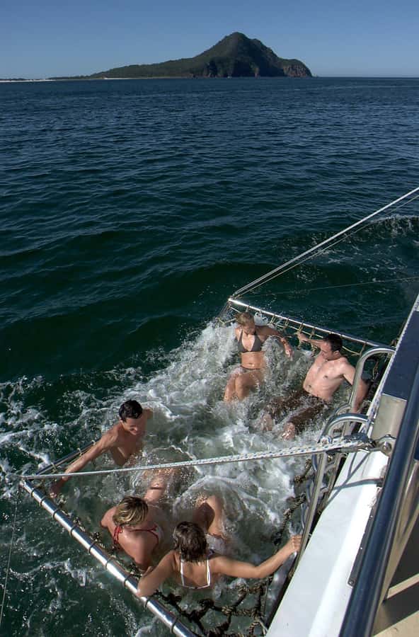 Nelson Bay: Dolphin Watch Cruise and Sail - Who should book this dolphin watch cruise?