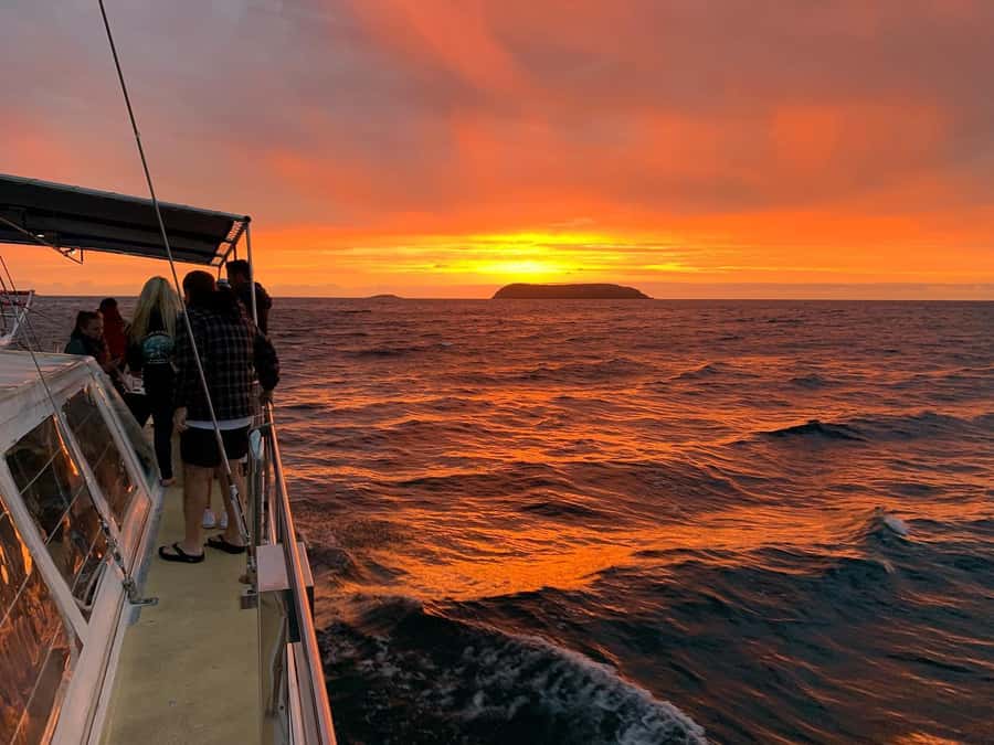 Nelson Bay: Whale and Dolphin Watching Catamaran Cruise - Deck comfort: jackets, blankets, and the kind of weather that still works