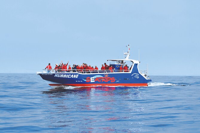 NEW Lagos-Watching Dolphins and Benagil Cave with Biologists - Key Highlights You’ll Care About