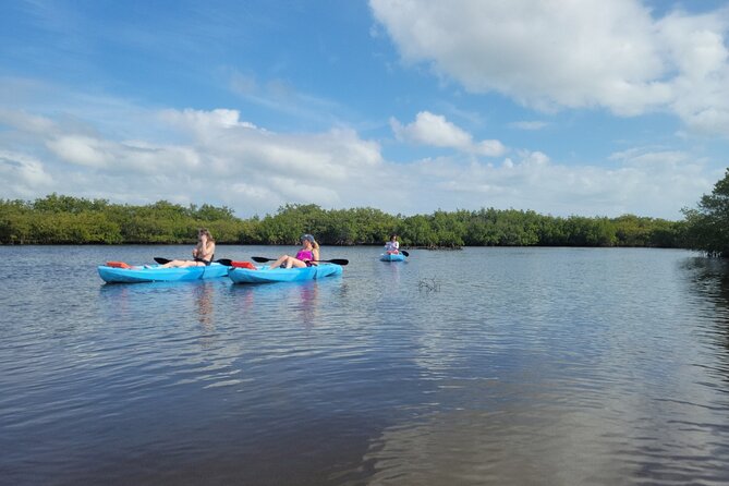 New Smyrna Dolphin and Manatee Kayak and SUP Adventure Tour - Setting Up at Divito Park: where your paddle actually starts