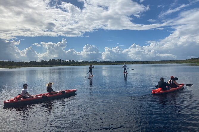 New Smyrna Dolphin and Manatee Kayak and SUP Adventure Tour - Wildlife targets: how the guide’s route changes your odds