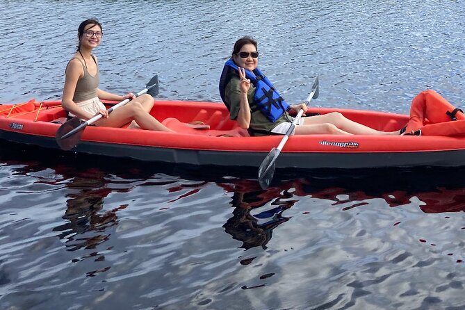 New Smyrna Dolphin and Manatee Kayak and SUP Adventure Tour - Kayak vs SUP: which one fits what you want to see