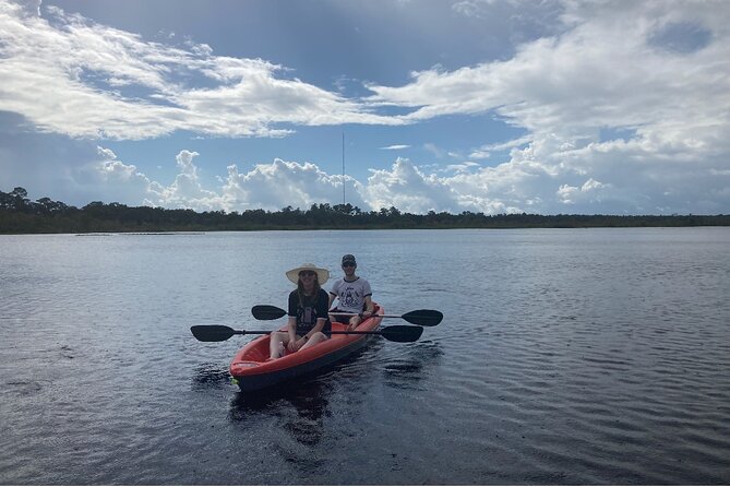 New Smyrna Dolphin and Manatee Kayak and SUP Adventure Tour - Who this tour suits best (and who should adjust expectations)