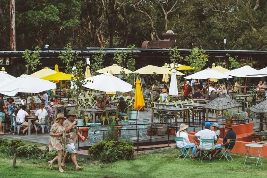 Newcastle: Port Stephens day tour. Dolphins, hike, swim. - Who should book, and who might skip