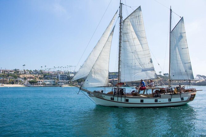 Newport Beach: Whale and Dolphin-Watching Cruise - Key things to know before you go