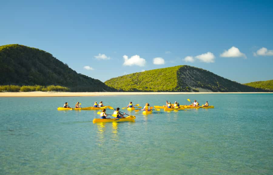 Noosa: Epic Ocean Kayak with Dolphins & 4WD Beach Adventure - Who this tour is best for
