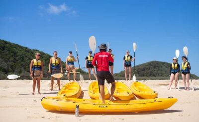 Noosa: Epic Ocean Kayak with Dolphins & 4WD Beach Adventure - Launching from Noosa North Shore: Marine Park waters and wildlife odds