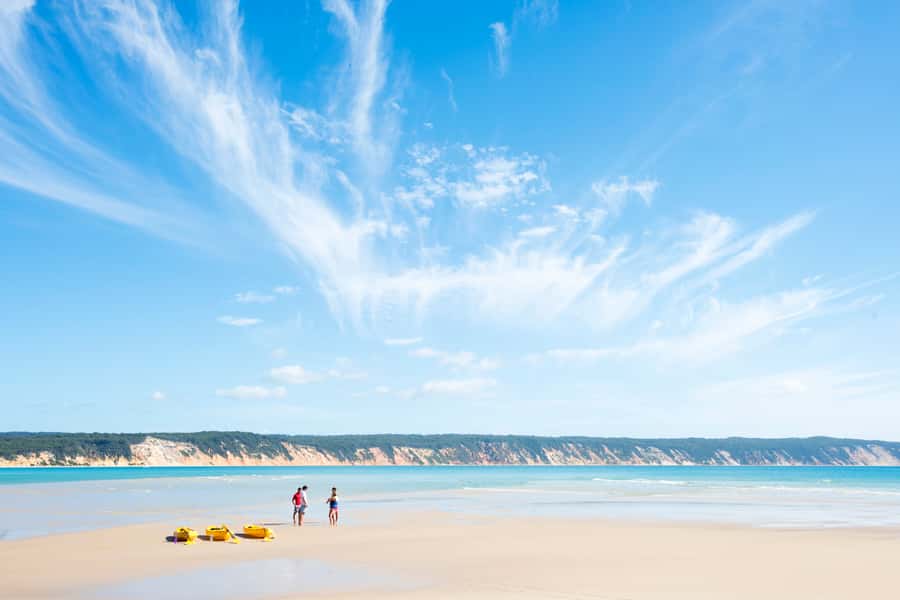 Noosa: Epic Ocean Kayak with Dolphins & 4WD Beach Adventure - The best part for wildlife lovers: respectful viewing on your schedule