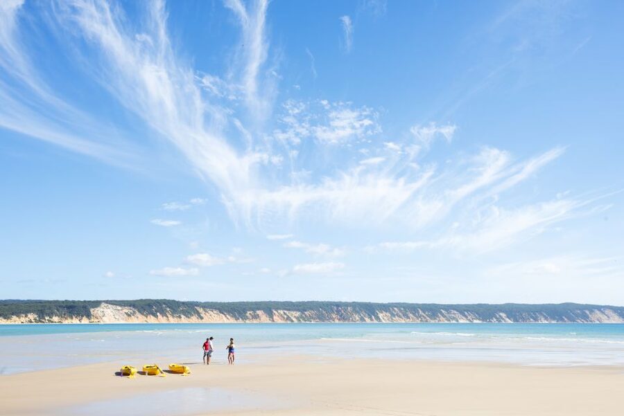 Noosa: Epic Ocean Kayak with Dolphins & 4WD Beach Adventure - What’s included (and what you should add)