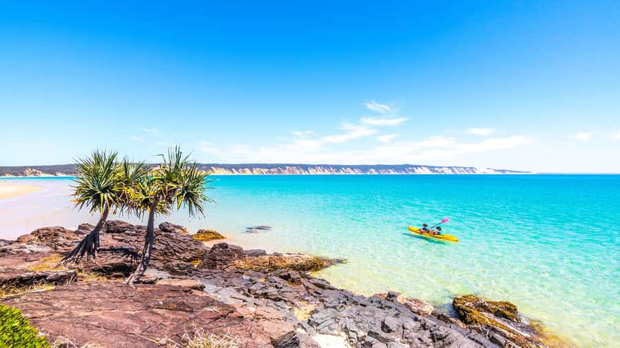 Noosa: Epic Ocean Kayak with Dolphins & 4WD Beach Adventure - Meeting point and parking: how to make the start painless