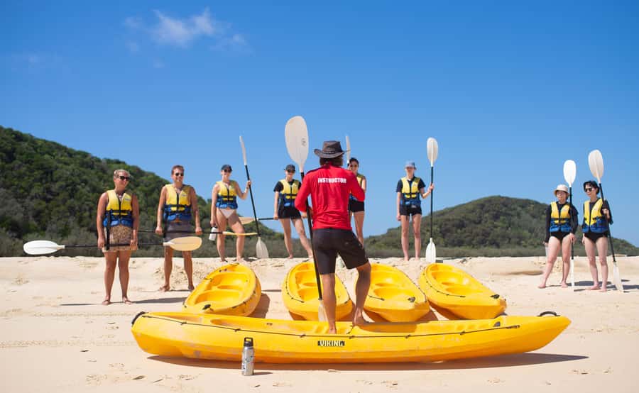 Noosa: Epic Ocean Kayak with Dolphins & 4WD Beach Adventure - Launching from Noosa North Shore: Marine Park waters and wildlife odds