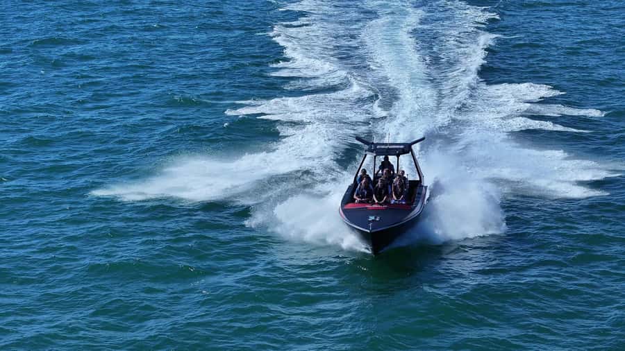 Noosa: Noosa Ocean Adventure with Dolphin Watching - Key highlights to know before you go