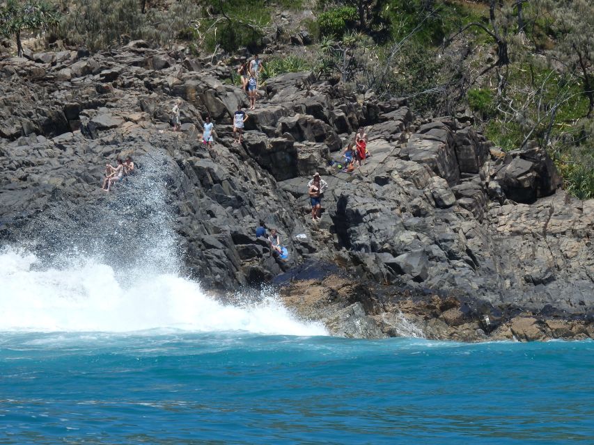 Noosa: Noosa Ocean Adventure with Dolphin Watching - Whales in season: humpback chances with an experienced whale-watch skipper