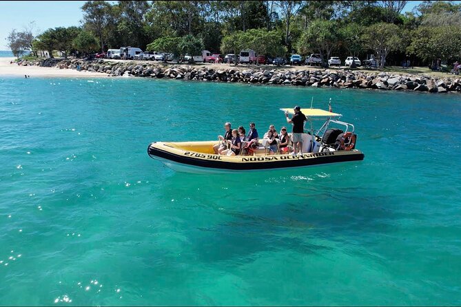 Noosa ocean adventure & Dolphin safari. - Key points before you go