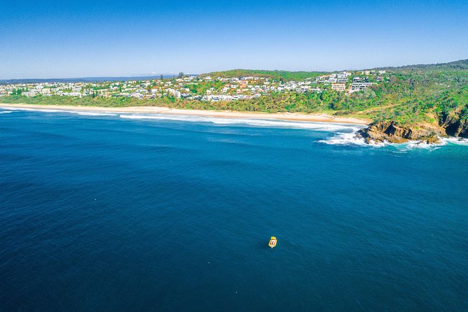 Noosa ocean adventure & Dolphin safari. - Why this Noosa boat safari feels different