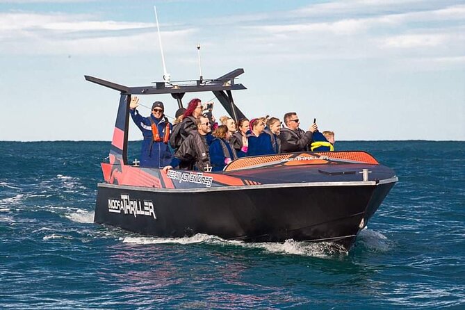Noosa Ocean Adventures: Dolphins - Key things that make this dolphin jet boat stand out