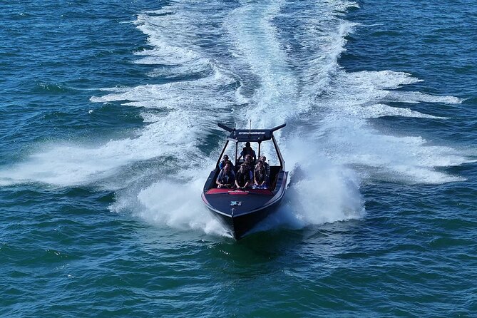 Noosa Ocean Adventures: Dolphins - Meeting point and what to do before you get wet