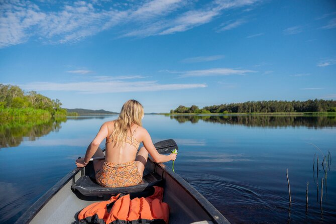Noosa Ocean Adventures: Dolphins - Wildlife odds: dolphins, turtles, and the day’s surprises