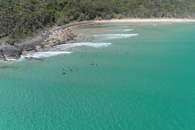 Noosa Ocean Adventures: Dolphins - Who this tour is best for (and who should skip it)