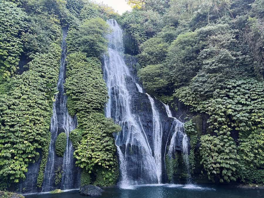 North Bali: Dolphin, Ulun Danu Temple, & Banyumala Waterfall - Snorkeling after dolphins: coral and fish with a calmer pace