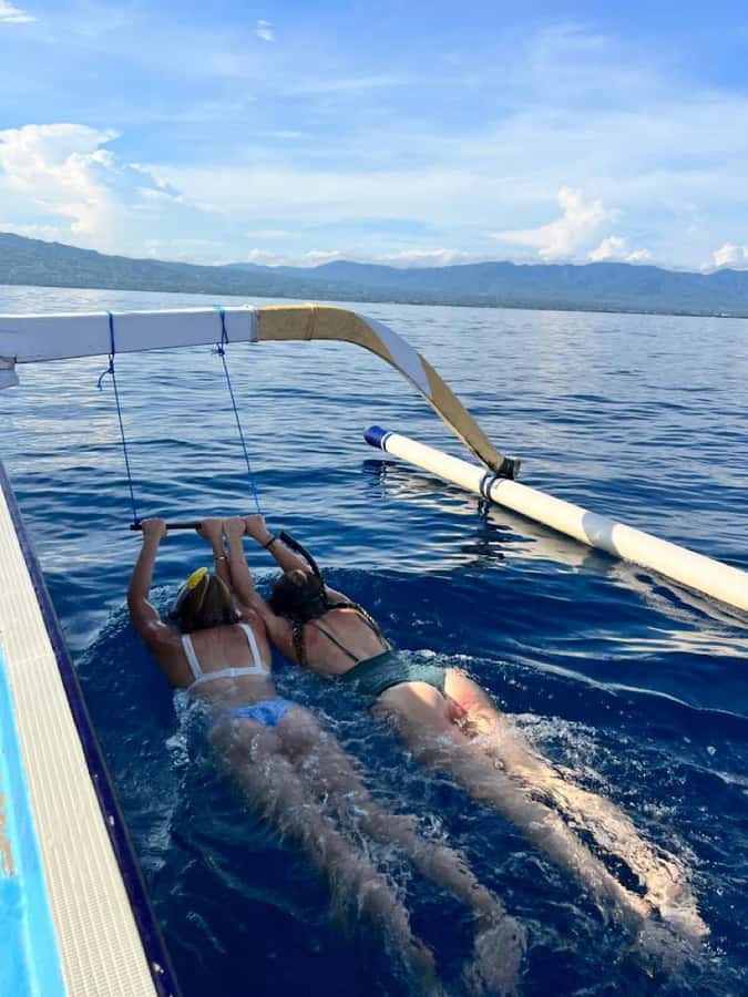 North Bali: Dolphin, Ulun Danu Temple, & Banyumala Waterfall - Who should book, and who should skip this one