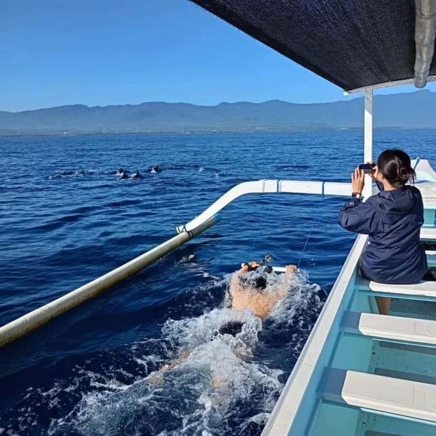 North Bali : Sunrise Dolphin Trip at Lovina Beach - Key things to know before you go