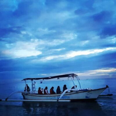North Bali : Sunrise Dolphin Trip at Lovina Beach - Choosing your combo: dolphins, snorkeling, waterfall, and those iconic photo stops