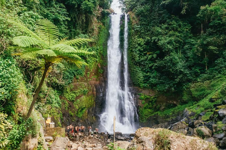 North Bali: Sunrise Tour with Dolphins, Waterfalls & Temples - Key Things That Make This Tour Worth Your Time