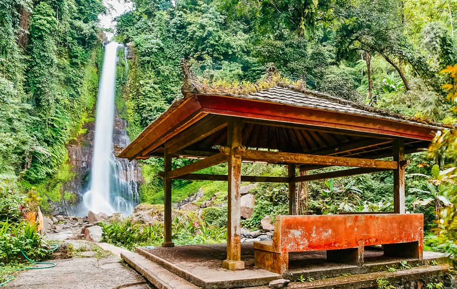 North Bali: Sunrise Tour with Dolphins, Waterfalls & Temples - What’s Included (and How It Affects Your Overall Cost)