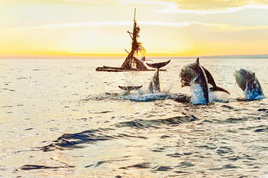 North Bali: Sunrise Tour with Dolphins, Waterfalls & Temples - Who This Tour Fits Best