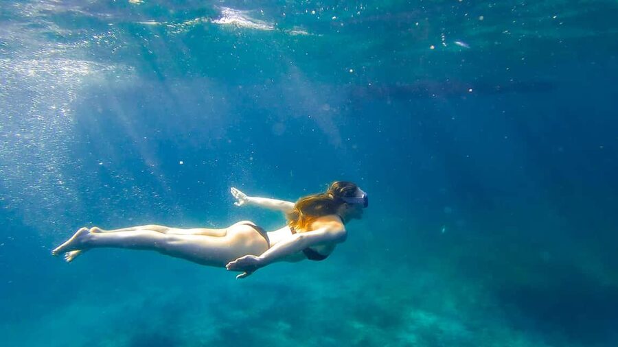 North Coast Dolphins Sunrise Adventure Tour - Key highlights you’ll feel right away