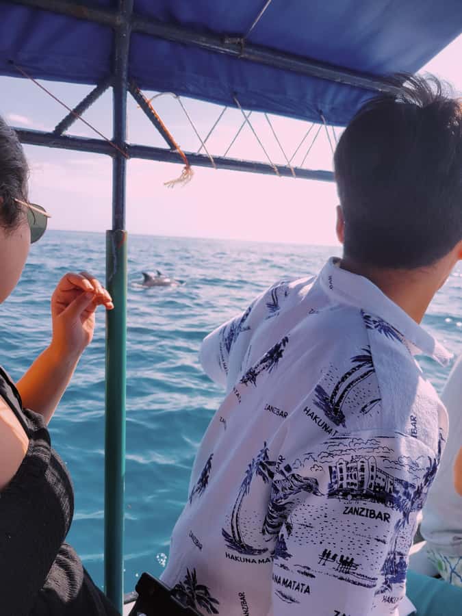Nungwi: Dolphins,snokerlling &/or sunset cruising tour - Price and value: is $30 a good deal for this mix?