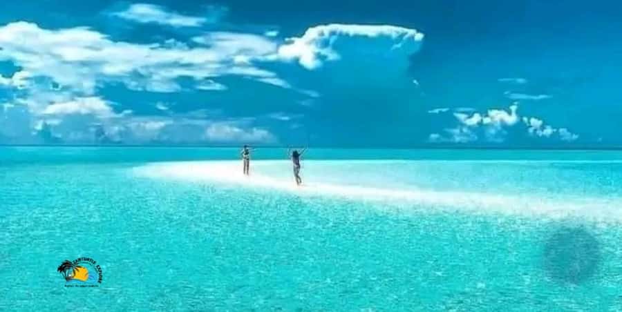 Nungwi: Mnemba Atoll Dolphins Tour with Snacks | Half-day - Nungwi to Mnemba Atoll: the short ride that sets the mood