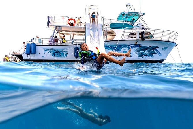 Oahu Dolphin and Snorkel Tour with Waikiki Pickup & Lunch - Snorkeling With Hawaiian Green Sea Turtles: Rules and What to Watch For