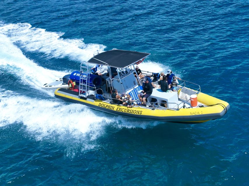 Oahu: Dolphin Swim and Turtle Snorkel Excursion in Waianae - What to bring so the day feels easy