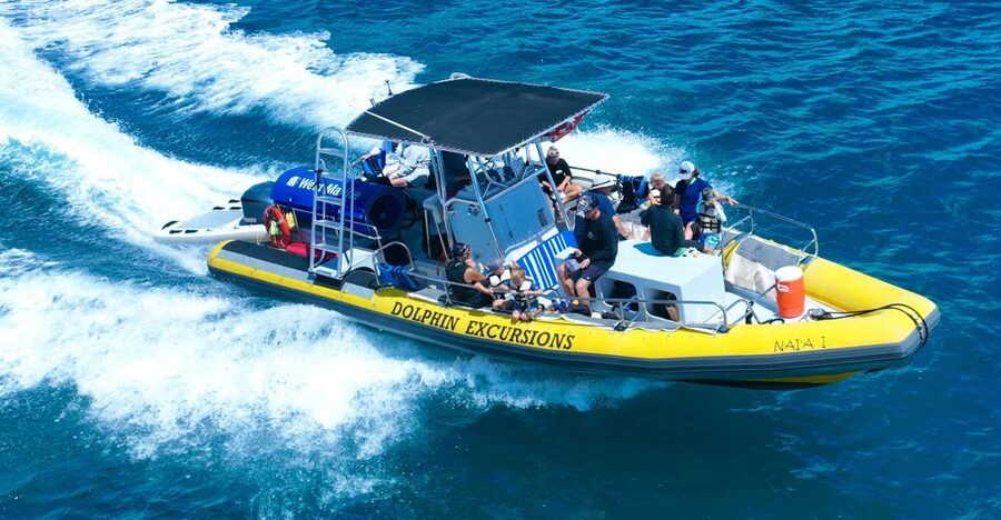 Oahu: Dolphin Swim and Turtle Snorkel Excursion in Waianae - Safety briefing first: you’ll do better if you listen early