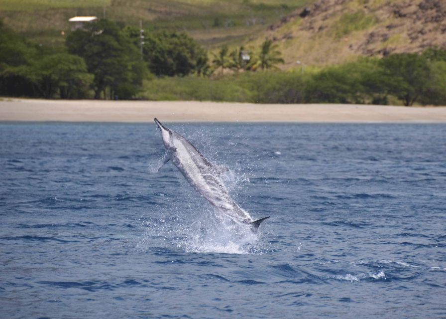 Oahu: Dolphin Swim and Turtle Snorkel Excursion in Waianae - The boat ride: how a 32-foot search session feels