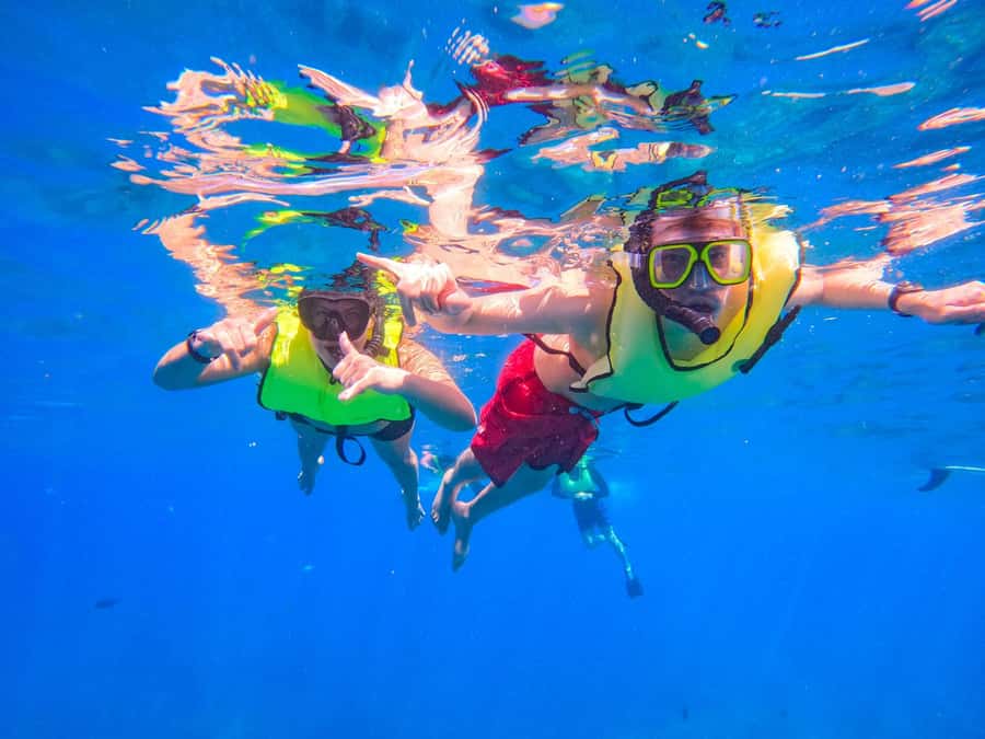 Oahu: Dolphin Watching & Turtle Snorkeling with Waterslide - Practical Tips Before You Go: Swimwear, IDs, and Ocean-First Reality