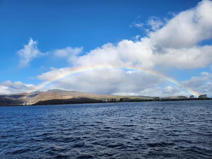 Oahu: Snorkeling & Dolphin Watch Cruise w/ Luau Style Buffet - Key points before you go