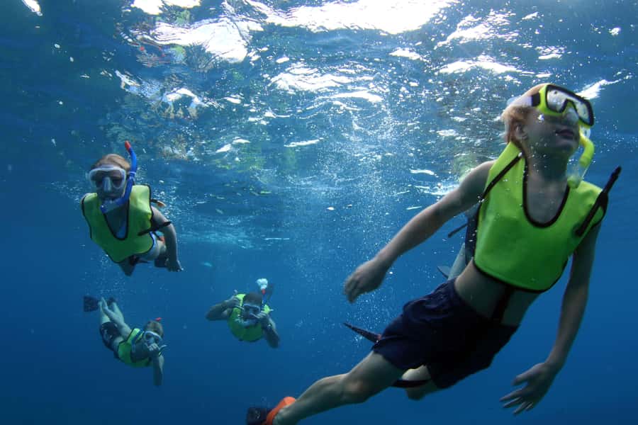 Oahu: Snorkeling & Dolphin Watch Cruise w/ Luau Style Buffet - Guided Snorkeling for Turtles and Reef Life