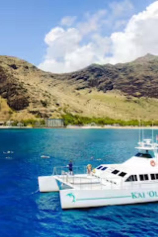 Oahu: Snorkeling & Dolphin Watch Cruise w/ Luau Style Buffet - Timing, Options, and What the Day Looks Like