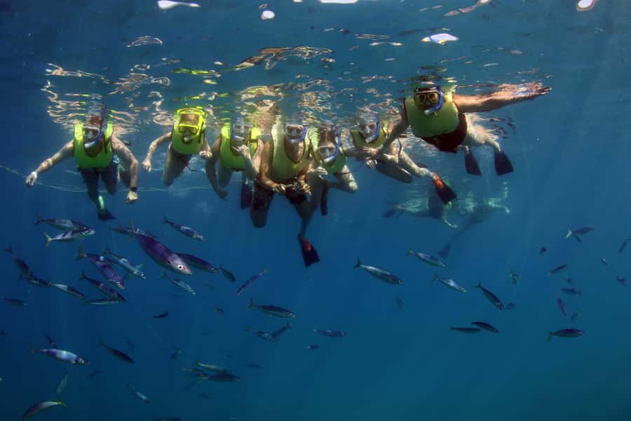 Oahu: Snorkeling & Dolphin Watch Cruise w/ Luau Style Buffet - English and Japanese Narration: More Than Facts on a Page