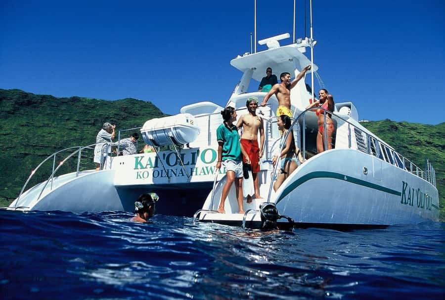 Oahu: Snorkeling & Dolphin Watch Cruise w/ Luau Style Buffet - Comfort on a 62-Foot Catamaran (Not a Floating Cram Session)
