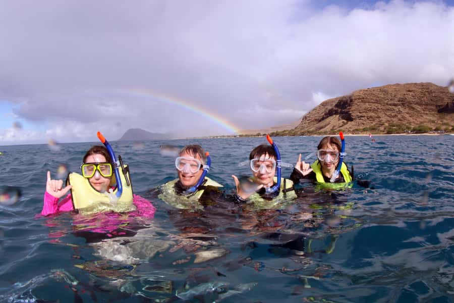 Oahu: Snorkeling & Dolphin Watch Cruise with Hawaiian Buffet - The guided snorkeling: What you do, what you bring, and what to expect