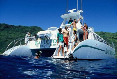 Oahu: Snorkeling & Dolphin Watch Cruise with Hawaiian Buffet - Dolphin and seasonal whale watching: The guarantee is the real hook